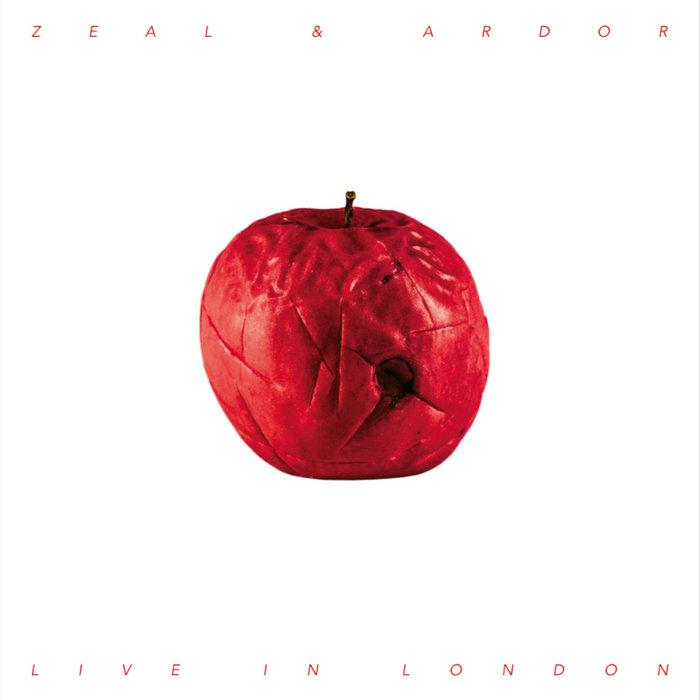 Softened old red apple, white background