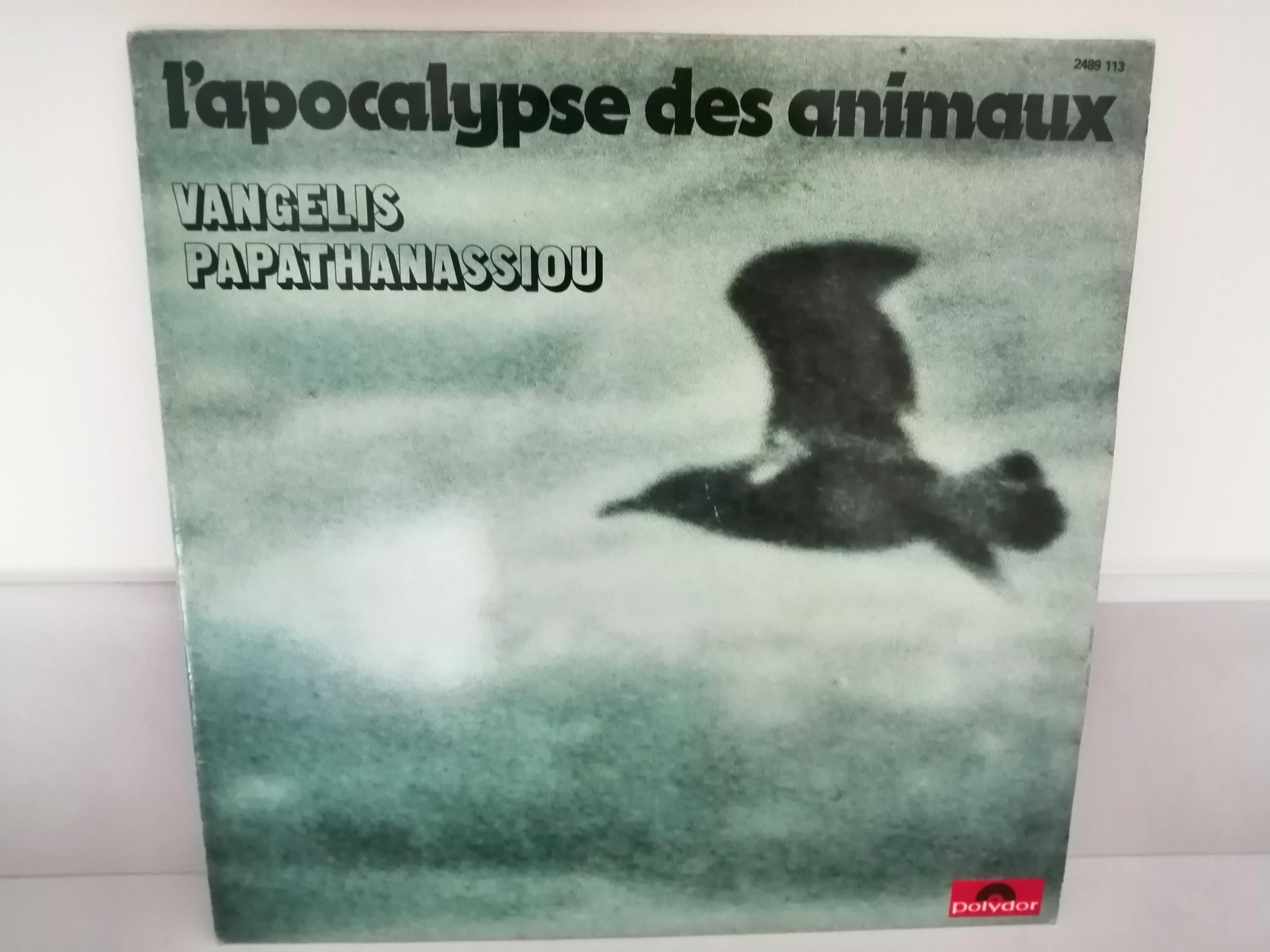 Photographie avec beaucoup de grain représentant un oiseau en vol sur un fond bleu/gris.