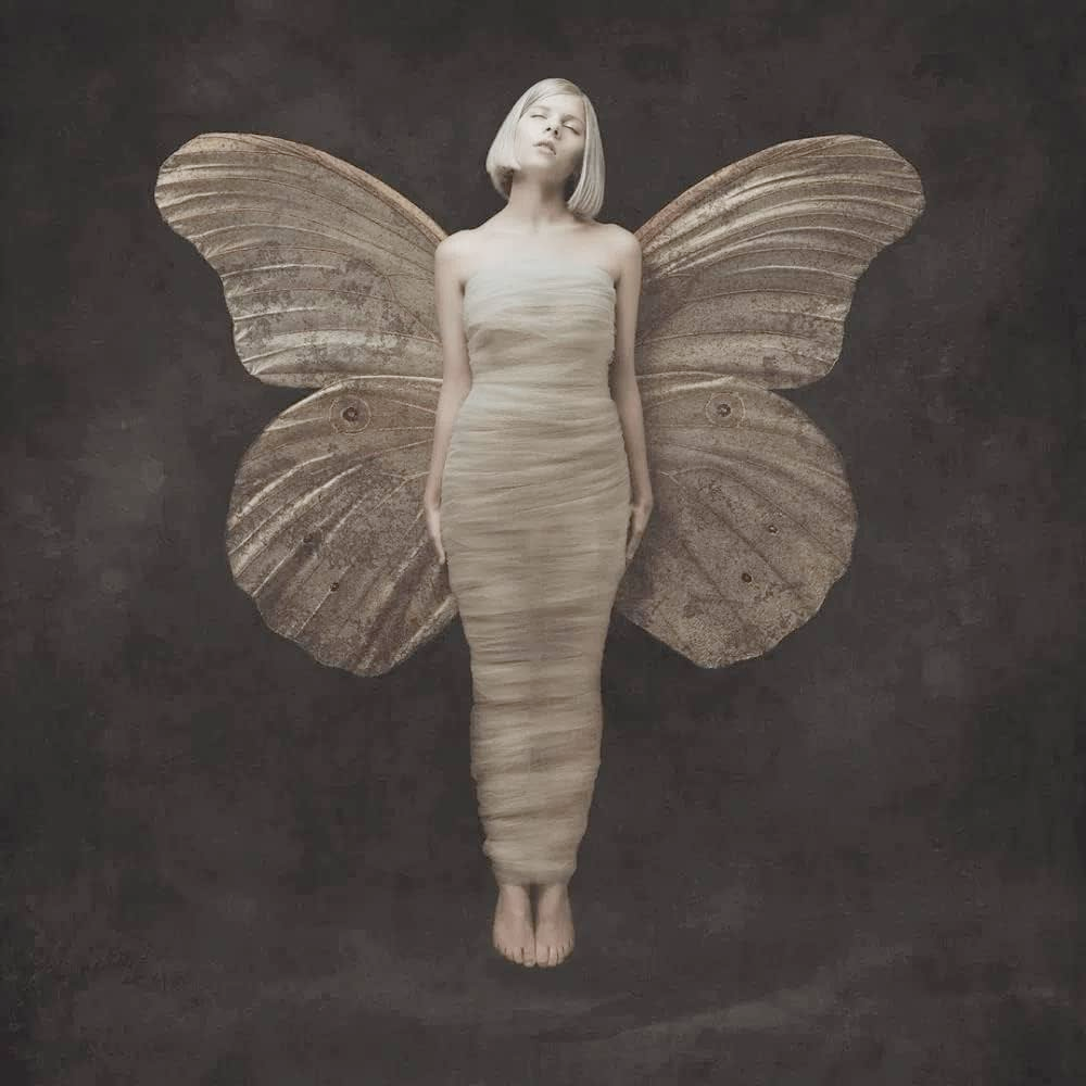 On a dark brown textured background, we can see Aurora, like a butterfly with big wings, sleeping and suspended in the air. She's wrapped in some white fabrics that reminds an insect cocoon.