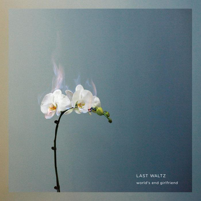 Burning flower on grey-blue background