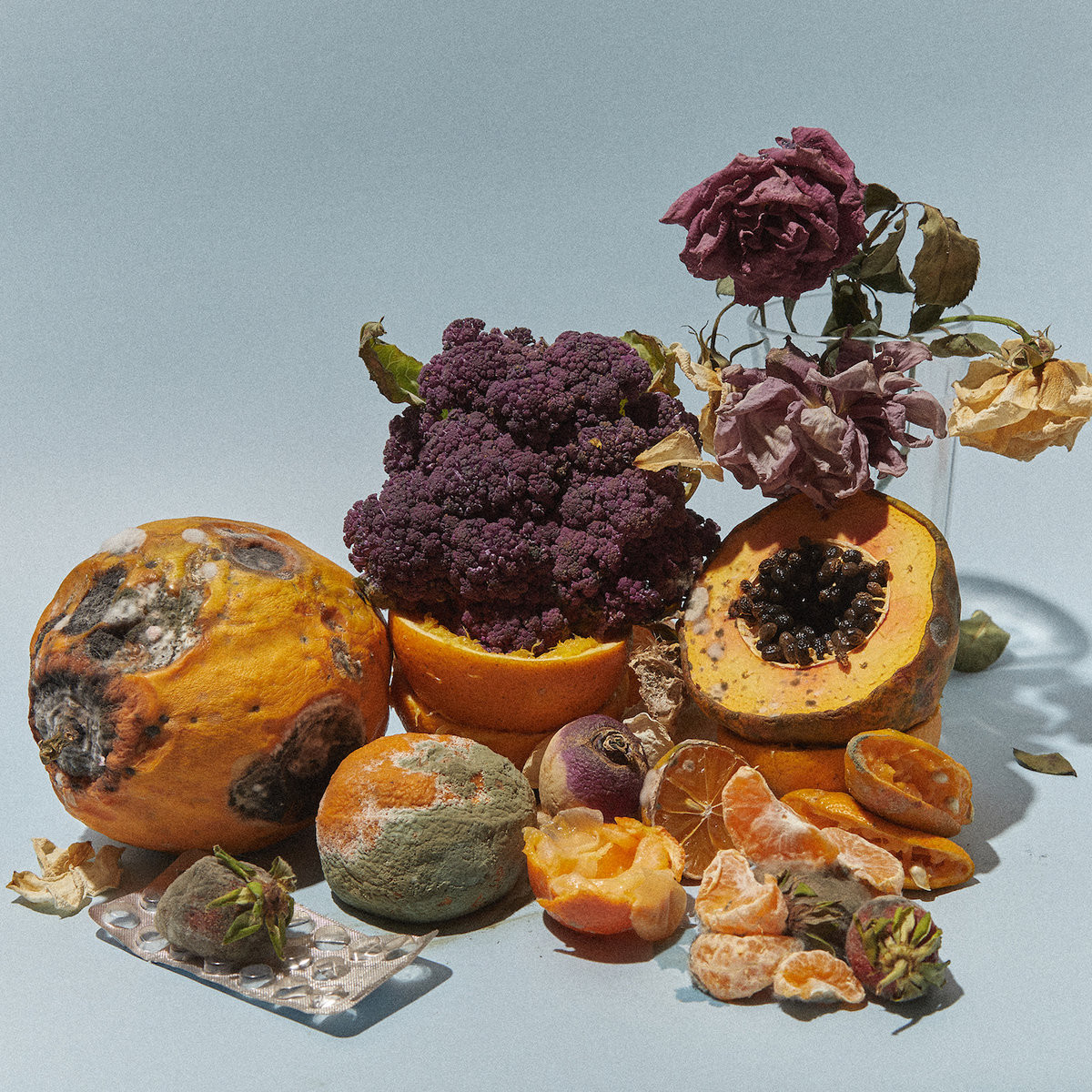 A set of fruits and vegetables in a state close to rotting and several dried roses in an empty vase.