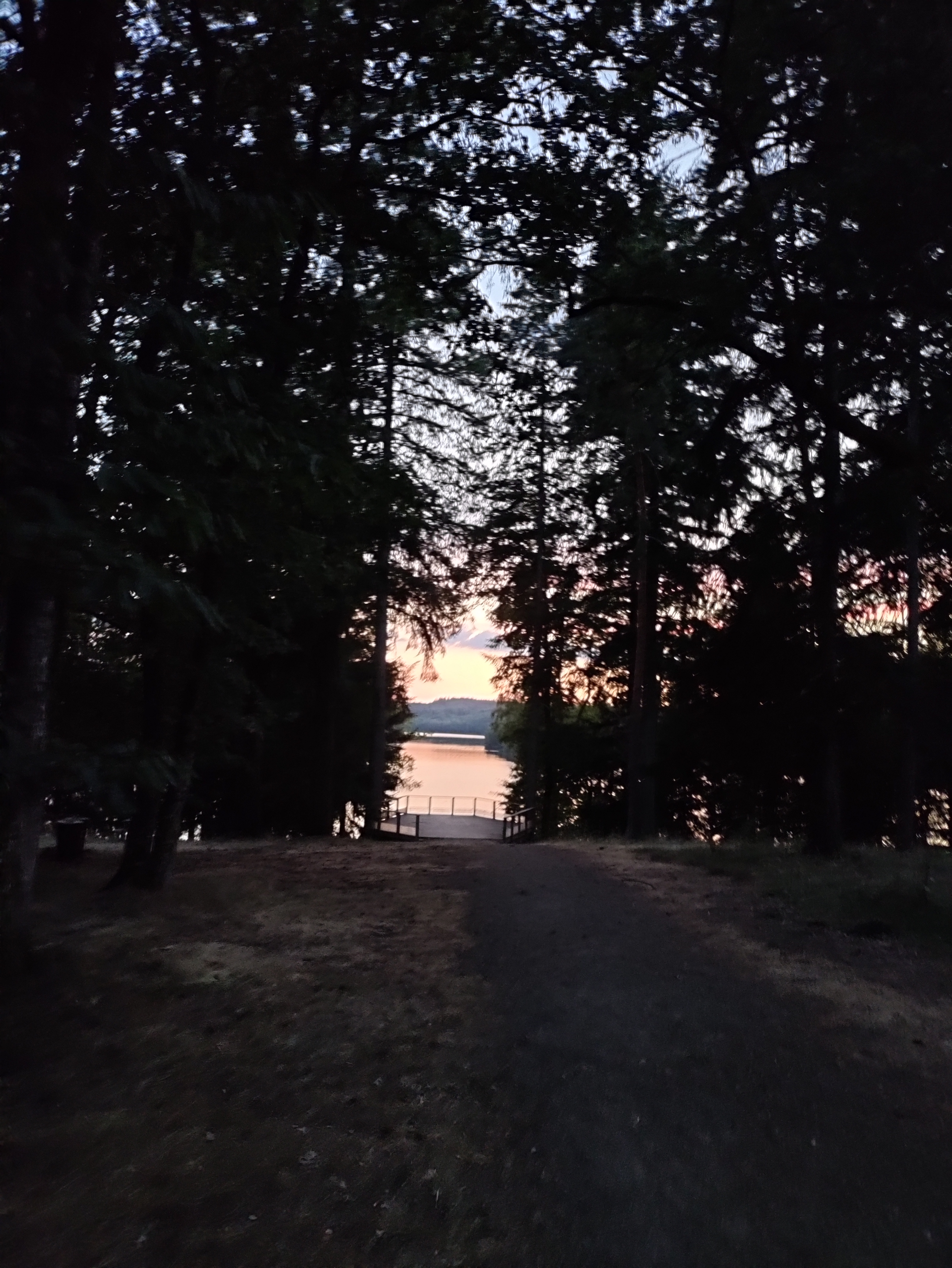 Le lac vu depuis la fôret, entre les arbres